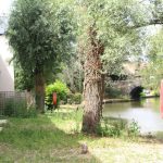Canal with trees, lifebuoy, and boat in view.
