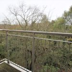 Balcony overlooking trees in autumn.