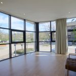 Bright empty room with large windows and plant.
