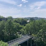 Scenic view with trees and a footbridge