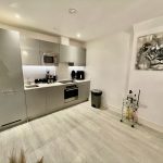 Modern kitchen with appliances and lion artwork.