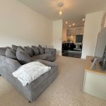 Modern living room with grey sofa and TV.