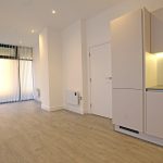 Modern unfurnished flat with wooden flooring and blinds.