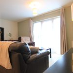 Modern living room with leather sofa and bookshelf.