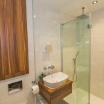 Modern bathroom with glass shower and wooden vanity.