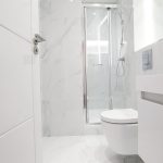 Modern white bathroom with toilet and shower