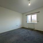 Empty room with window and grey carpet.