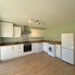Modern kitchen with white appliances and green walls.