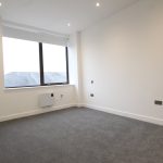 Empty white room with grey carpet and window