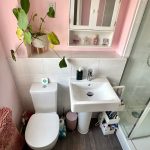 Compact pink bathroom with shower and plant decor.