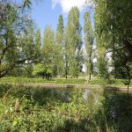Serene canal with lush greenery and trees