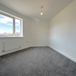 Empty bright room with carpet and window view.