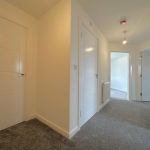 Modern hallway with grey carpet and white doors.