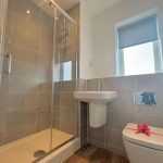 Modern bathroom with shower and toilet gift-wrapped