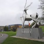 University of Surrey stag statue on campus lawn.