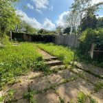 Overgrown garden with patio and steps, sunny day.