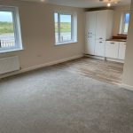 Bright room with carpet and wooden flooring.
