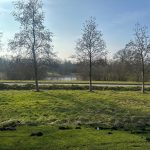 Green field with trees and a distant pond.