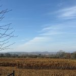 Sunny countryside field with distant hills view.