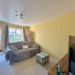 Bright living room with sofa, windows, and TV.