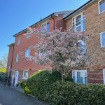 Blossoming tree in front of red brick building.