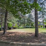 Tree-lined park with green grass and pathways.