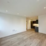 Modern open-plan kitchen and living area with wood flooring.