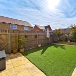 Sunny backyard with green lawn and plants.