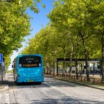 Blue bus on tree-lined street in sunshine.