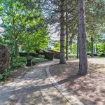 Sunny park path with trees and bushes