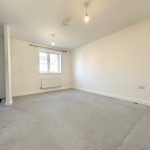 Bright empty living room with carpet and window.