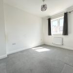 Empty room with window and grey carpet