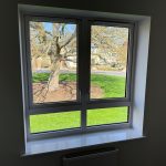 Tree view through sunny window.