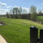 Sunny green garden with distant trees and fence.