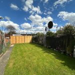 Sunny garden with green lawn and blue sky.