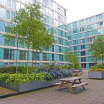 Modern office courtyard with trees and benches.