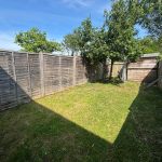 Sunny garden with wooden fence and trees.
