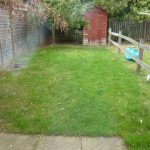 Grassy garden with shed and clothesline.
