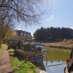 Canal boats moored along scenic sunny river path.