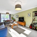 Bright living room with sofas and TV