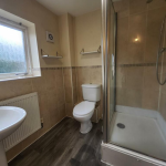 Modern bathroom with toilet, shower, and sink.