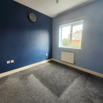 Empty blue room with grey carpet and window.