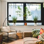 Modern living room with plants and bright cushions.