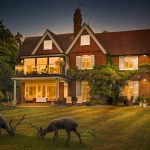 Charming country house with deer at sunset.
