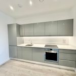 Modern minimalist kitchen with grey cabinets