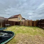 Backyard with trampoline and wooden fence.