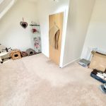 Spare room with pet accessories and exercise weights.