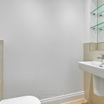 Modern toilet with sink and glass shelves