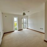 Empty bright room with carpet and windows.