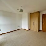 Empty carpeted room with wooden wardrobe and door.